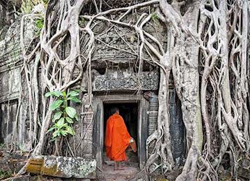 Ta Prohm temple in Angkokr, Camobida