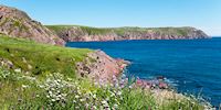The coastal cliffs of Bay de Verde in Newfoundland, Canada